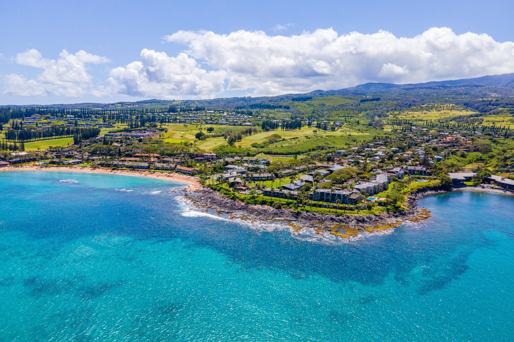 Napili Point Condos for Sale